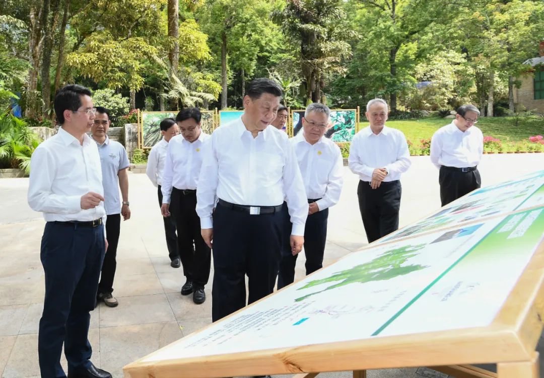 1.jpg 图片